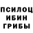 Псилоцибиновые грибы мицелий Ozik Soltanov